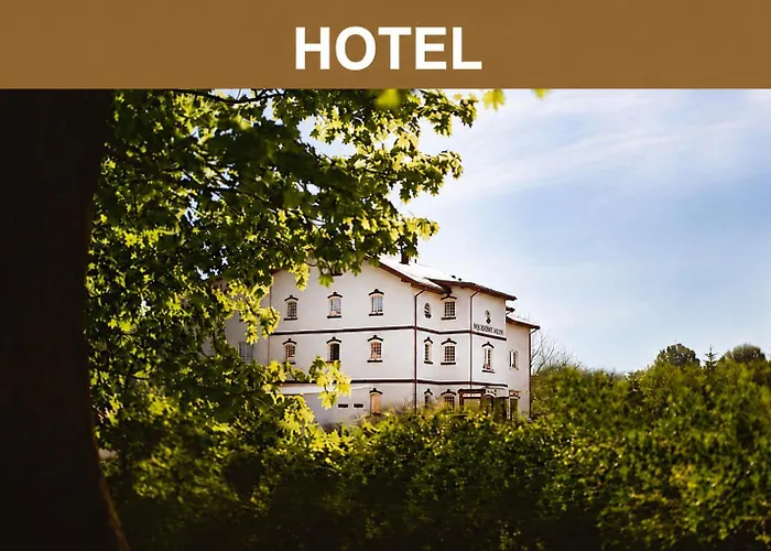 Hotel Miodowy Mlyn